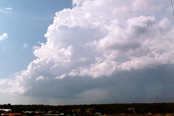 updraft thunderstorm_updrafts : Schofields, NSW   30 March 1997