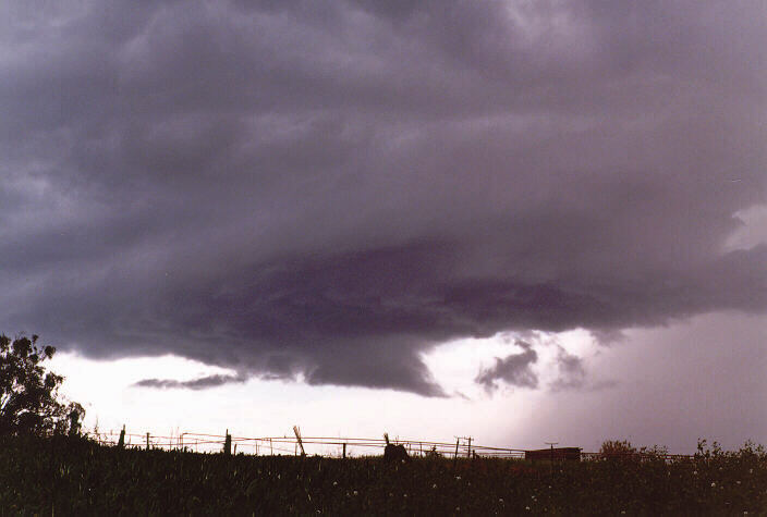 cumulonimbus thunderstorm_base : Schofields, NSW   20 September 1997