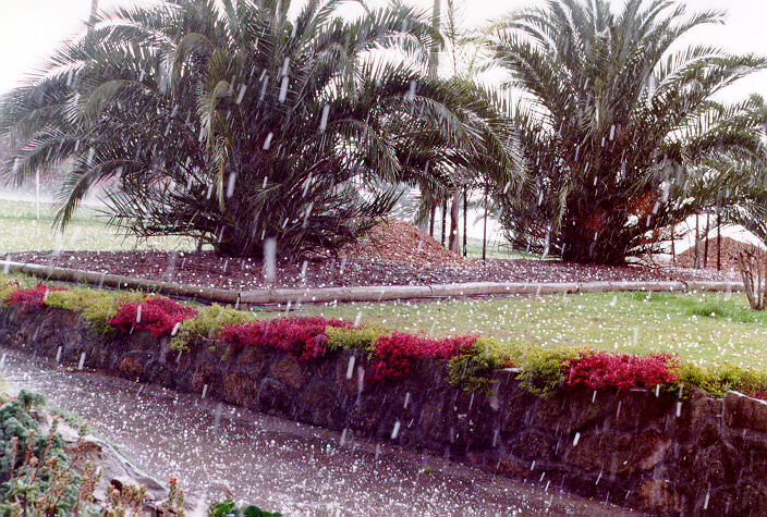 precipitation precipitation_rain : Schofields, NSW   20 September 1997