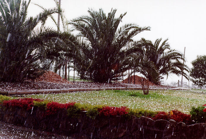 hailstones hail_stones : Schofields, NSW   20 September 1997