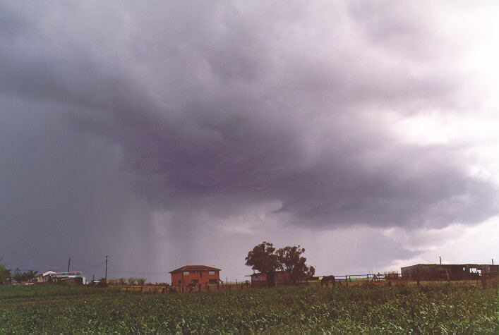 cumulonimbus thunderstorm_base : Schofields, NSW   20 September 1997