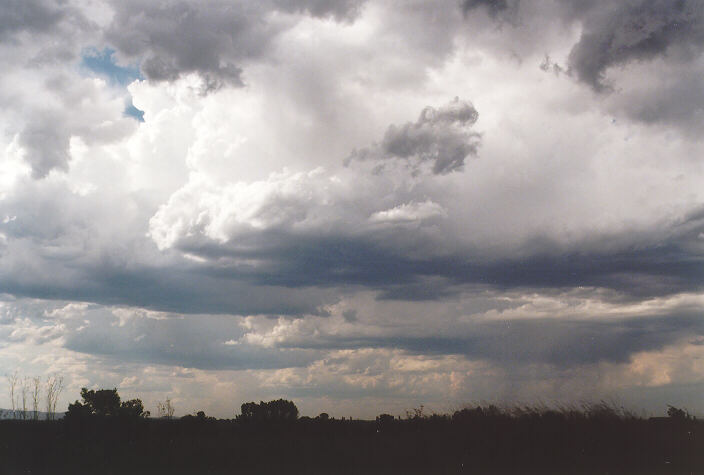 thunderstorm cumulonimbus_calvus : Windsor, NSW   27 October 1997