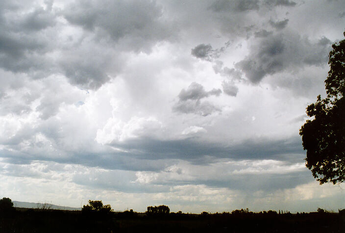 cumulus congestus : Windsor, NSW   27 October 1997