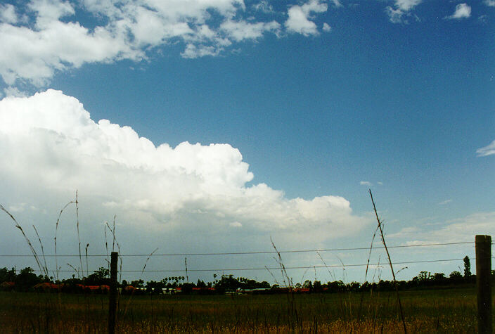 thunderstorm cumulonimbus_calvus : Richmond, NSW   7 November 1997