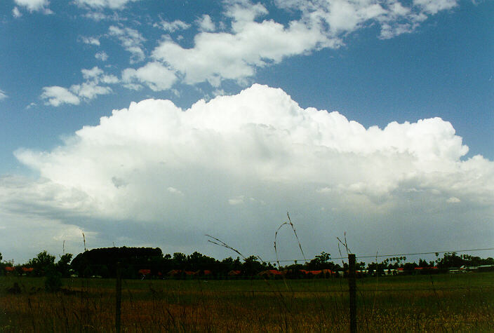 thunderstorm cumulonimbus_calvus : Richmond, NSW   7 November 1997