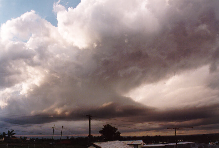 stratocumulus lenticularis : Schofields, NSW   15 November 1997