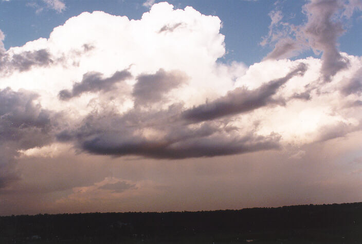 thunderstorm cumulonimbus_calvus : Schofields, NSW   15 November 1997