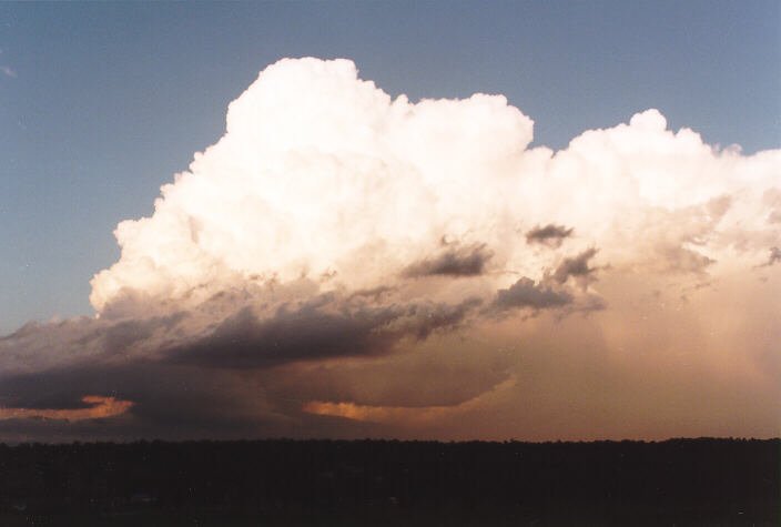 thunderstorm cumulonimbus_calvus : Schofields, NSW   15 November 1997