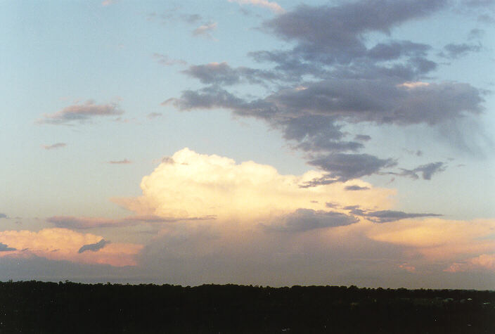 thunderstorm cumulonimbus_calvus : Schofields, NSW   15 November 1997