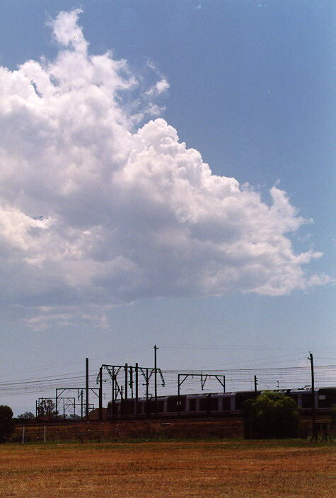 cumulus mediocris : St Marys, NSW   26 November 1997