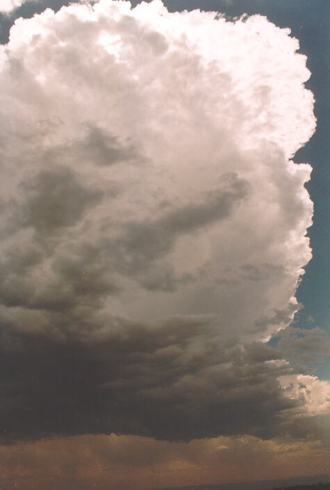 thunderstorm cumulonimbus_calvus : Horsley Park, NSW   26 November 1997