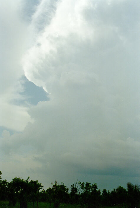 thunderstorm cumulonimbus_incus : Litchfield Park, NT   1 December 1997