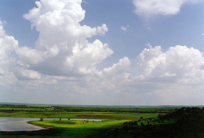 cumulus congestus : near Humpty Doo, NT   2 December 1997