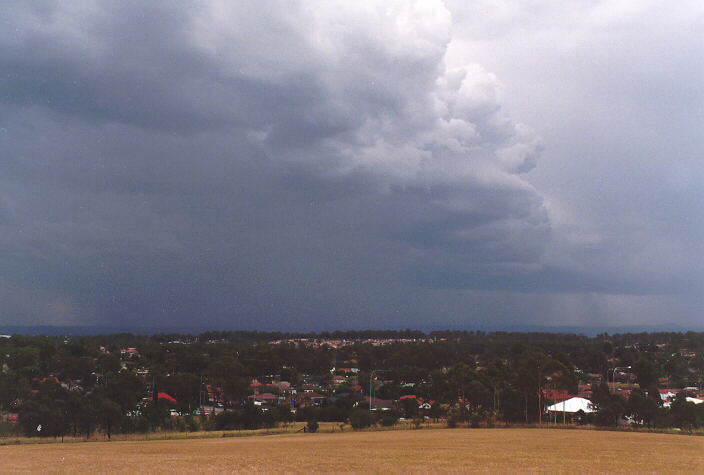 raincascade precipitation_cascade : Rooty Hill, NSW   19 December 1997