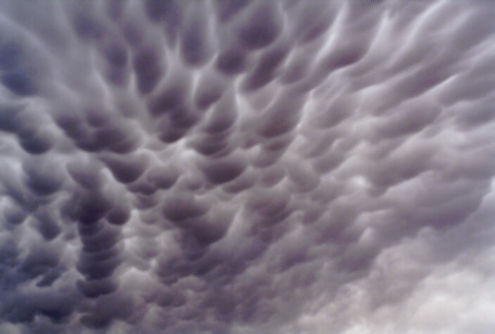 mammatus mammatus_cloud : Schofields, NSW   19 December 1997