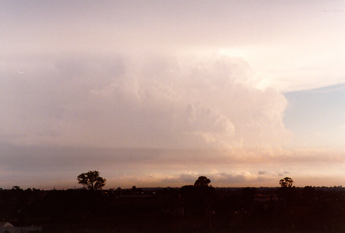 updraft thunderstorm_updrafts : Schofields, NSW   19 December 1997