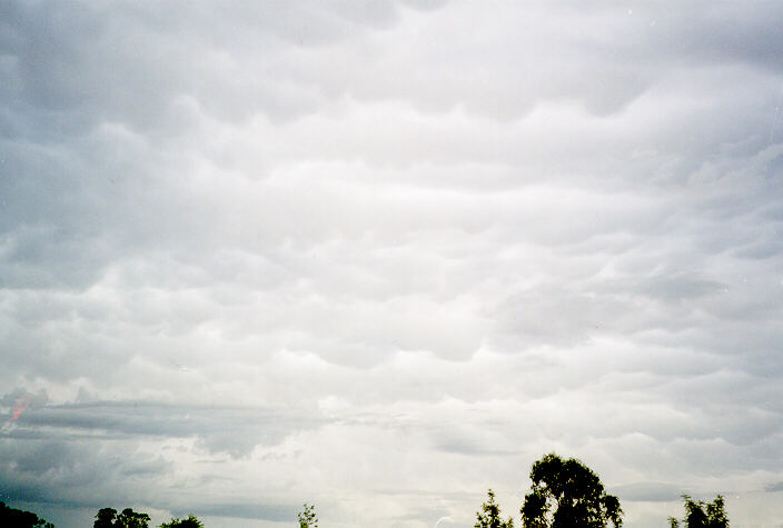 mammatus mammatus_cloud : Oakhurst, NSW   19 December 1997