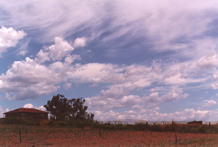 cumulus mediocris : Schofields, NSW   21 December 1997