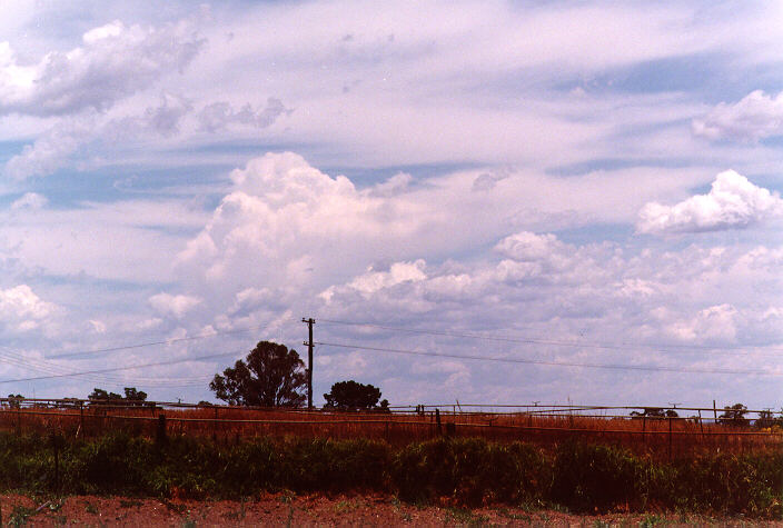 cirrus cirrus_cloud : Schofields, NSW   21 December 1997