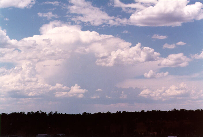 cumulus mediocris : Schofields, NSW   21 December 1997