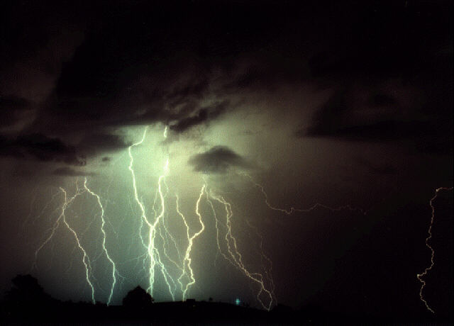 contributions received : near Grafton, NSW<BR>Photo by Steve Baynham   21 December 1997