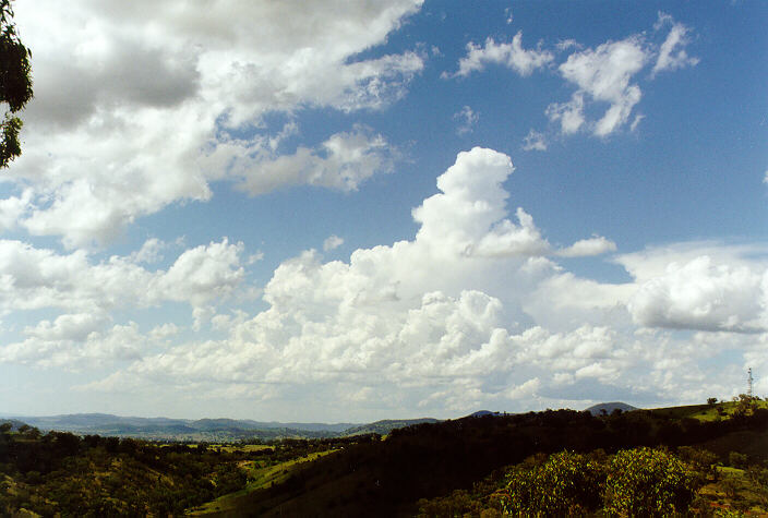 cumulus mediocris : Tamworth, NSW   22 December 1997