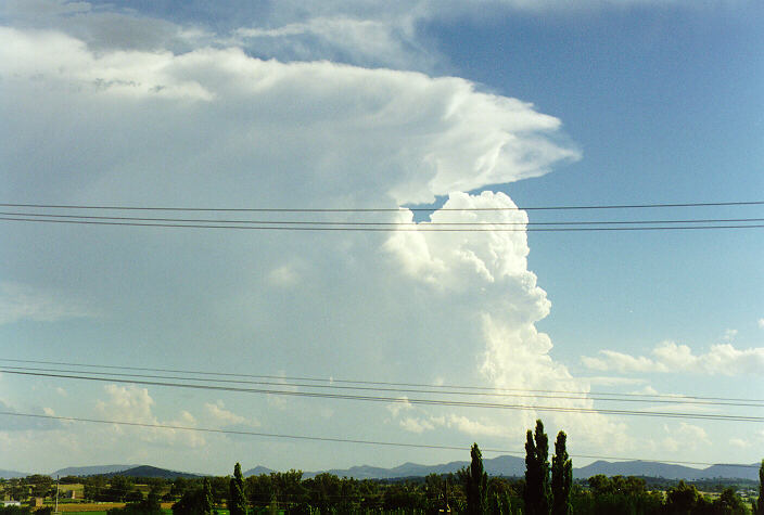 anvil thunderstorm_anvils : Tamworth, NSW   22 December 1997