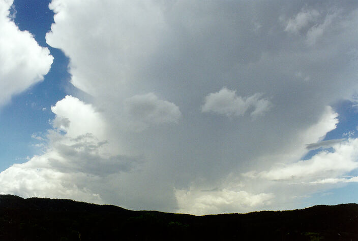 anvil thunderstorm_anvils : near Tenterfield, NSW   23 December 1997