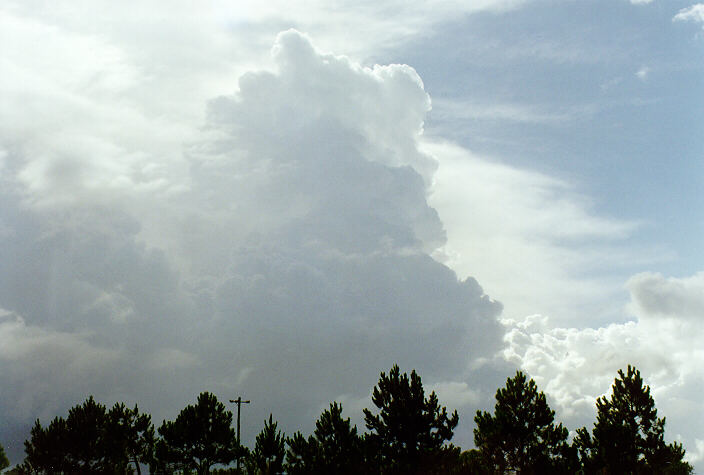 cumulus congestus : Ballina, NSW   25 December 1997