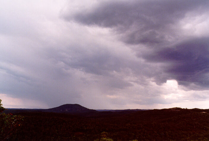 cumulonimbus thunderstorm_base : Mt Tomah, NSW   31 December 1997