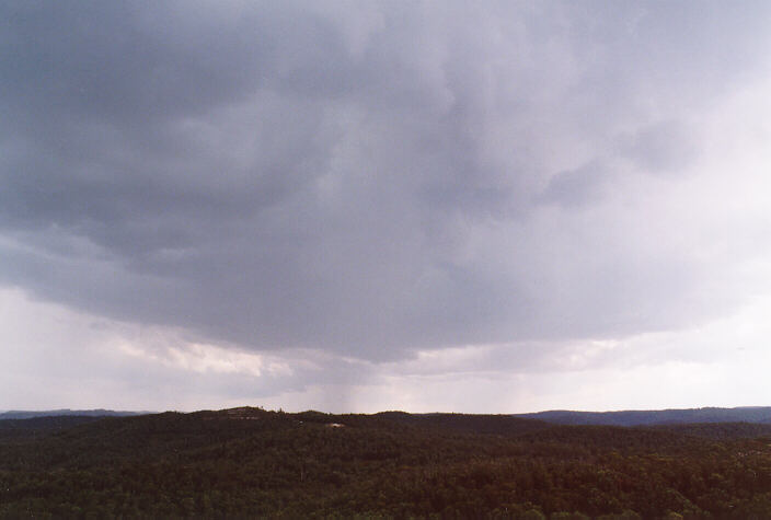 cumulonimbus thunderstorm_base : Mt Tomah, NSW   31 December 1997