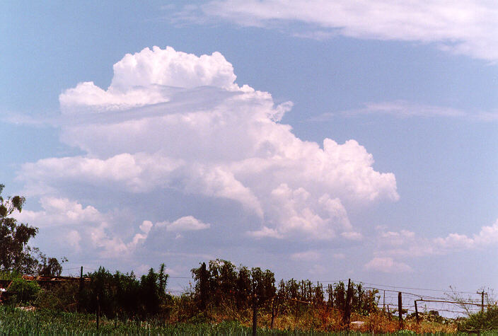 thunderstorm cumulonimbus_calvus : Schofields, NSW   3 January 1998