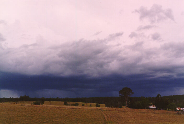 cumulonimbus thunderstorm_base : South Grafton, NSW   15 January 1998