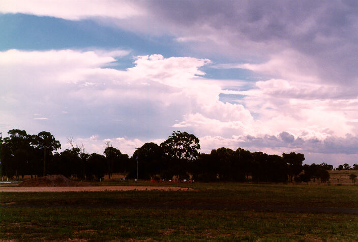 thunderstorm cumulonimbus_incus : Armidale, NSW   19 January 1998