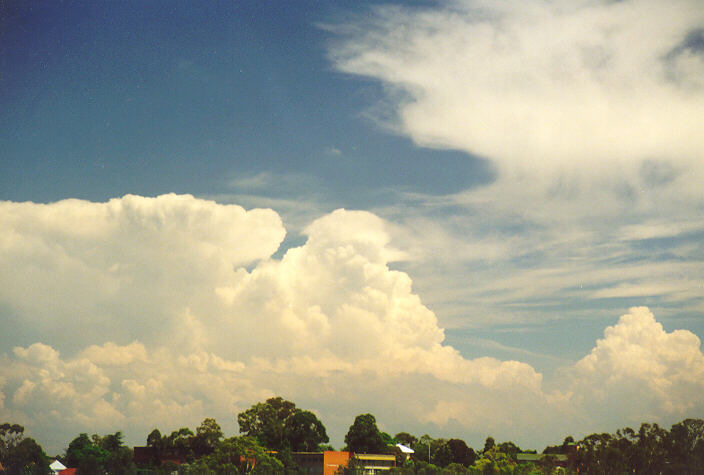 thunderstorm cumulonimbus_calvus : Rooty Hill, NSW   1 February 1998