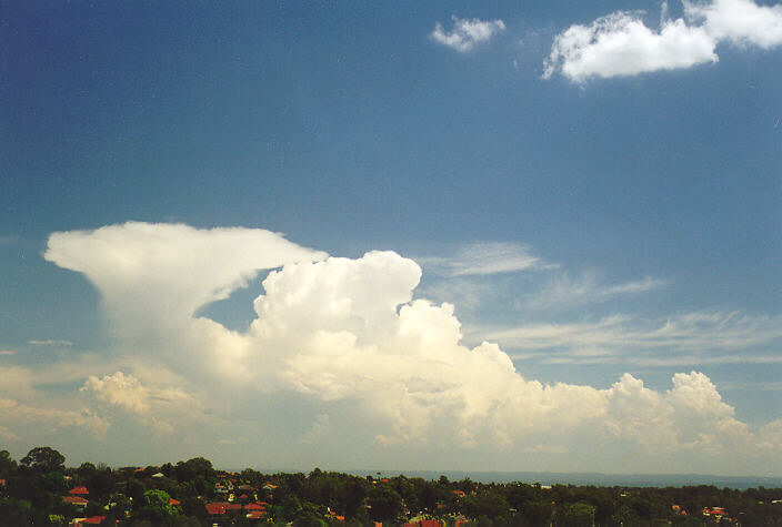 thunderstorm cumulonimbus_calvus : Rooty Hill, NSW   1 February 1998