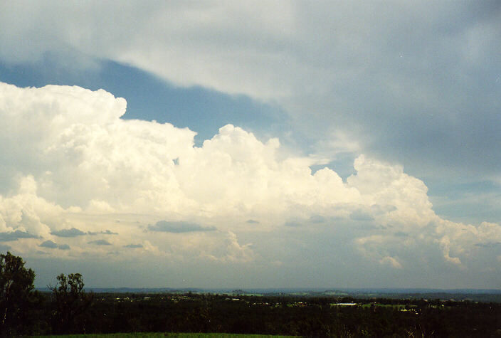 anvil thunderstorm_anvils : Kemps Creek, NSW   1 February 1998