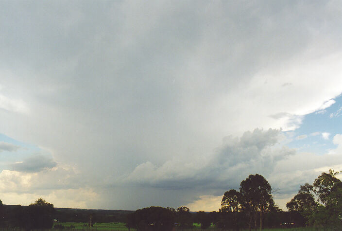 raincascade precipitation_cascade : Camden, NSW   1 February 1998