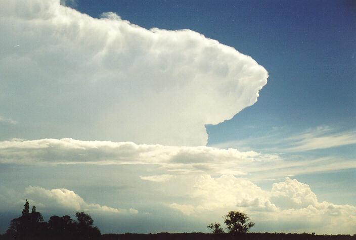 anvil thunderstorm_anvils : Camden, NSW   1 February 1998