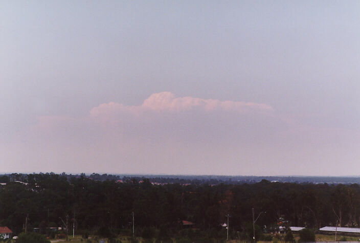 thunderstorm cumulonimbus_incus : Rooty Hill, NSW   4 February 1998