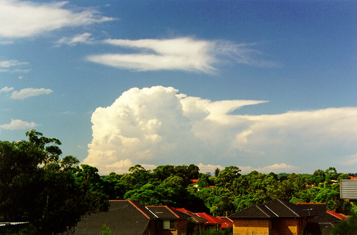 contributions received : North Ryde, NSW<BR>Photo by Paul Graham   12 February 1998