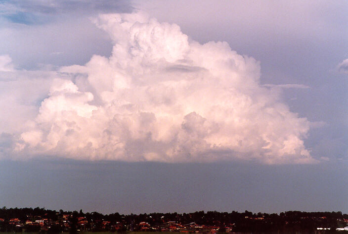 thunderstorm cumulonimbus_calvus : Rooty Hill, NSW   15 February 1998