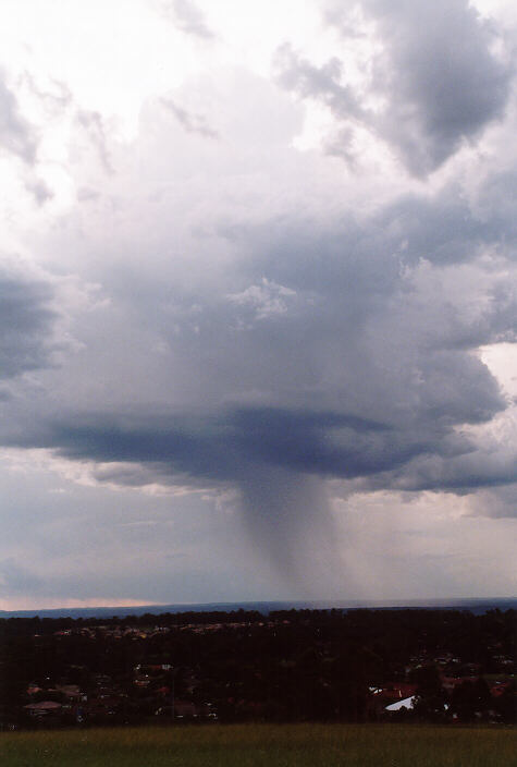 raincascade precipitation_cascade : Rooty Hill, NSW   15 February 1998