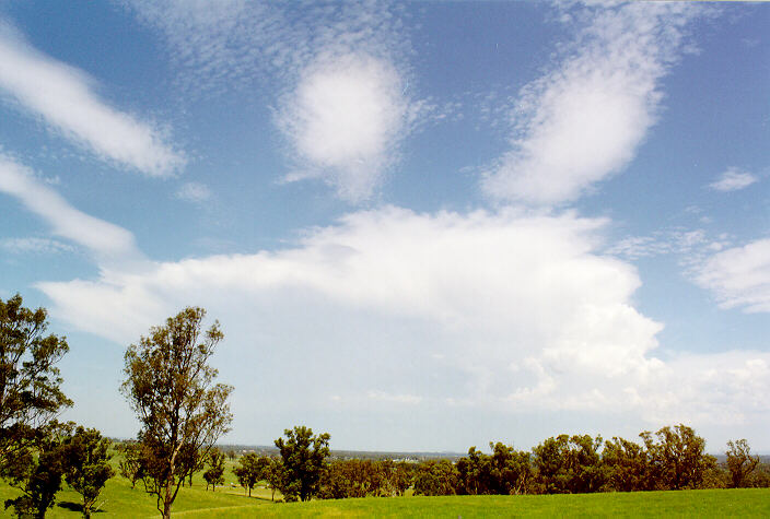 thunderstorm cumulonimbus_incus : Kemps Creek, NSW   15 February 1998