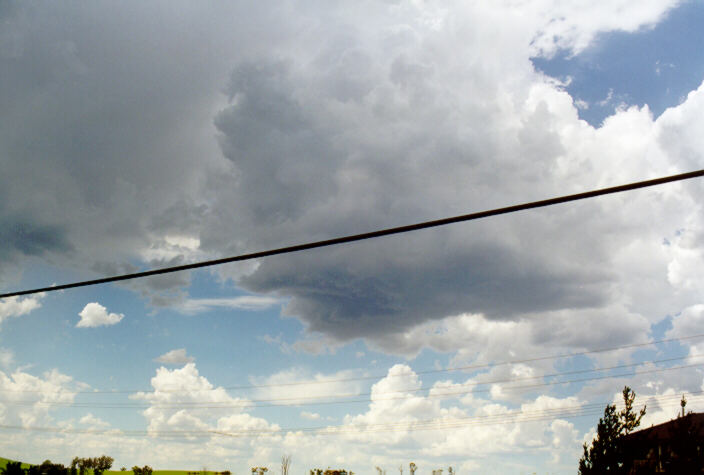 cumulus congestus : Kemps Creek, NSW   15 February 1998