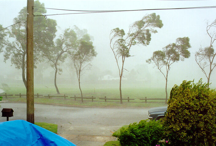 strongwind strong_wind : Prospect, NSW   15 February 1998