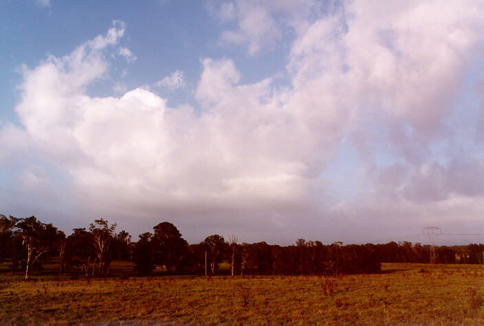 cumulus mediocris : Schofields, NSW   23 February 1998