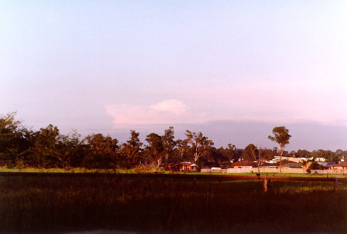 thunderstorm cumulonimbus_calvus : Oakhurst, NSW   2 March 1998