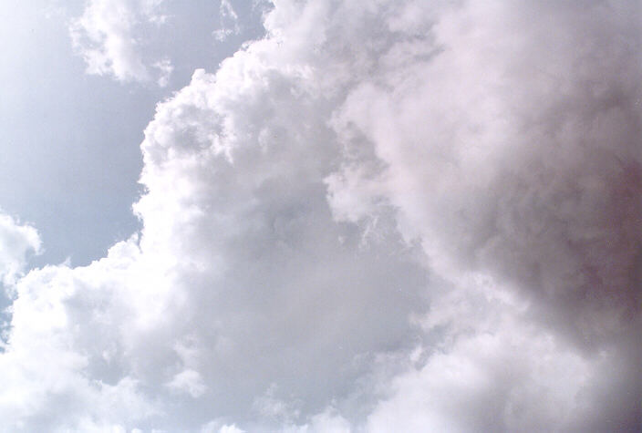 updraft thunderstorm_updrafts : Schofields, NSW   3 March 1998