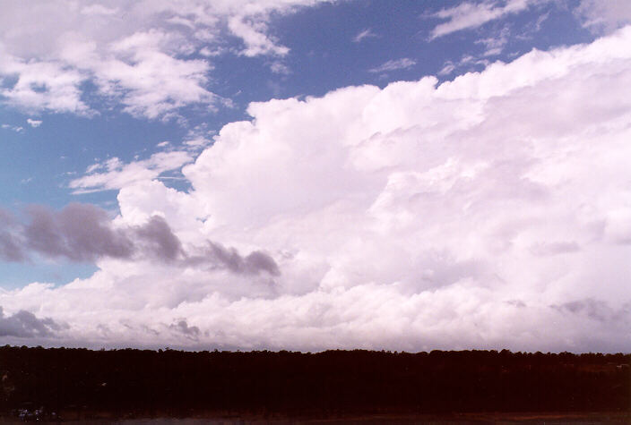 thunderstorm cumulonimbus_incus : Schofields, NSW   10 April 1998